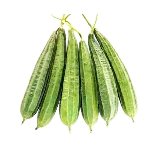 Ridge Gourd